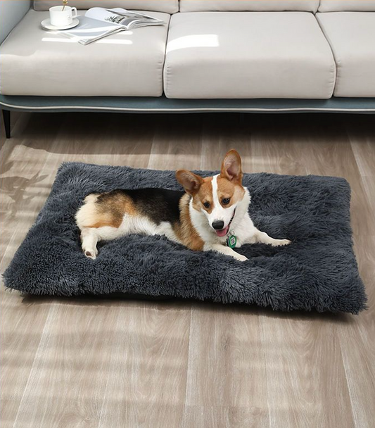 The Original Planet Pup® - DOG MAT