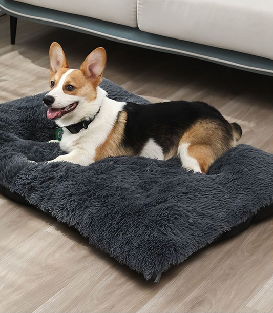 The Original Planet Pup® - DOG MAT